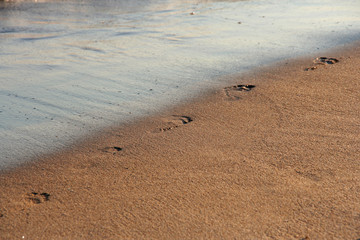 footprints on the beach