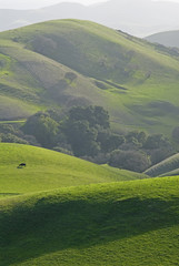 California agriculture