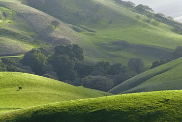 bay area countryside