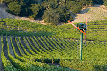 Giant fan in napa valley vineyards 