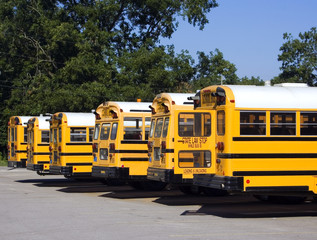 Row of School Buses