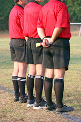 Fototapeta premium Referees