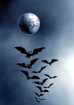 Moon and bats.