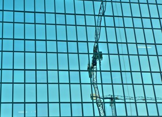 Cranes reflection