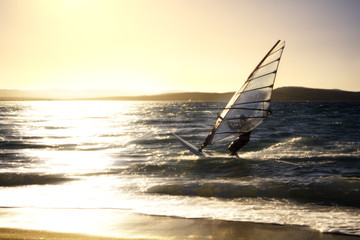 windsurfer
