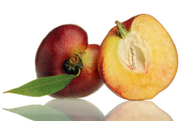 nectarine