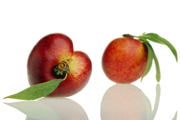 nectarine