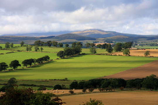 Cheviots Hill