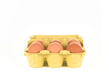 eggs in cardboard packing