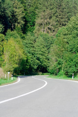 Fototapeta premium road in wood