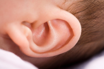 Ohr eines Babies