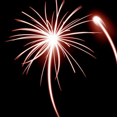 Fototapeta premium Fireworks