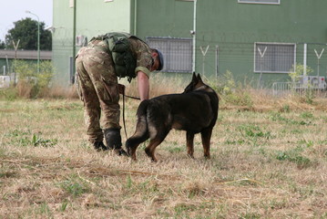 Militare con cane
