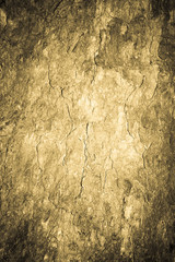 Bark background