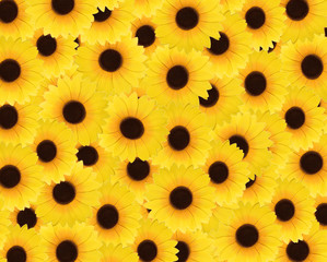 Background with lots of sunflowers