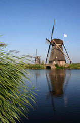 moulin en Hollande