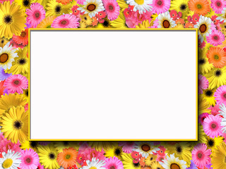 Summer Flowers Frame
