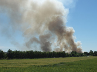 Fototapeta na wymiar landscape with smoke from fire