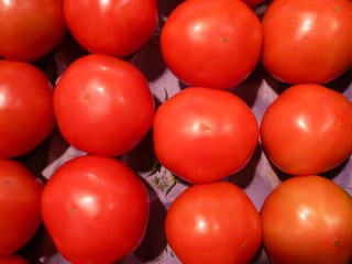 Tomaten geordnet