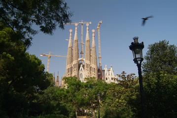 Sagrada familia