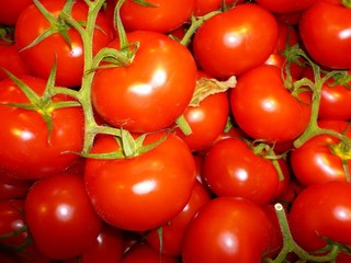 Tomaten