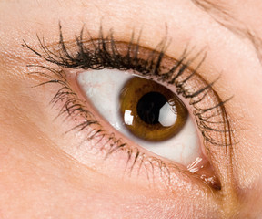 brown eye