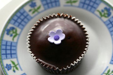 Chocolate Cupcake