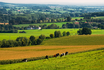  landscape in autumn