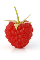 Raspberry fruit