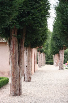 All&eacute;e de cimeti&egrave;re