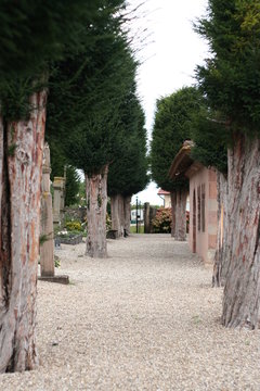 Cimeti&egrave;re