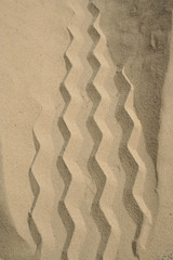 Tire Track in the sand