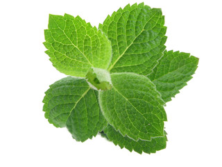 mint