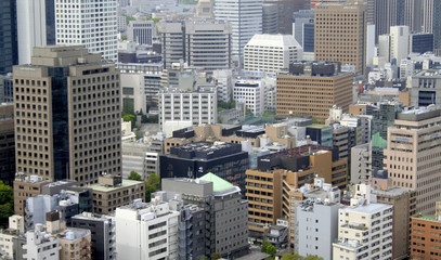 Fototapeta premium Tokyo City
