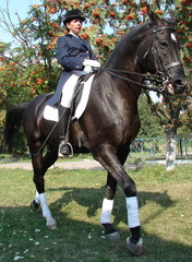 equestrian woman on black horse 2