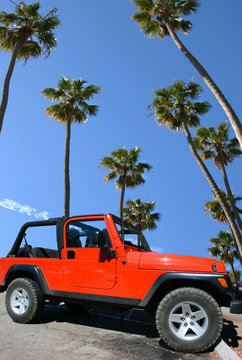 Red car palm trees and blue sky