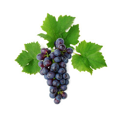 Blue grape cluster with leaves - obrazy, fototapety, plakaty