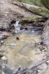 Creek in the forrest