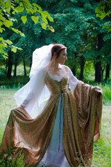 Italian renaissance dress