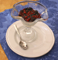 Panna cotta mit Früchten