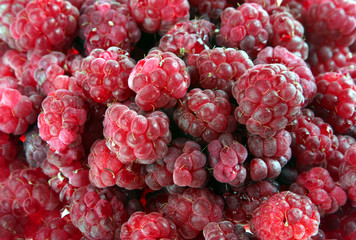Raspberrie background