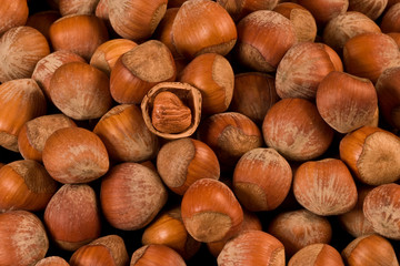 Hazelnuts background