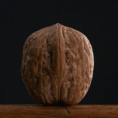 Obraz premium walnut