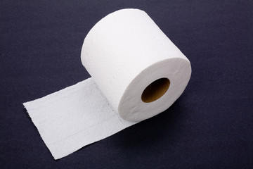 toilet paper