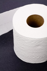 toilet paper