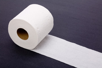 toilet paper