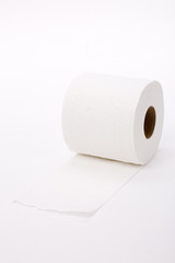 toilet paper