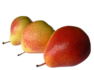 pears