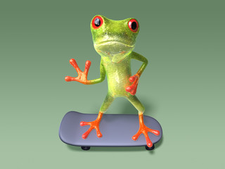Grenouille en skateboard