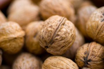 noix,coques,fruit,noyer,huile,v